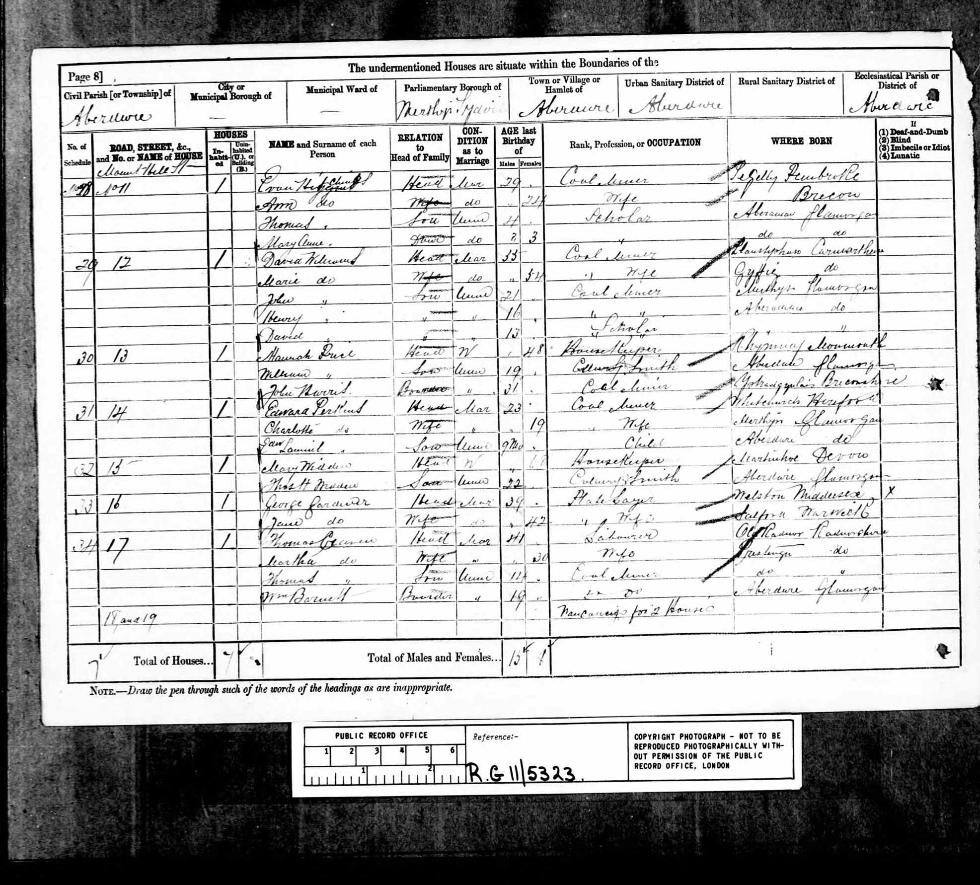 1881 Wales Census