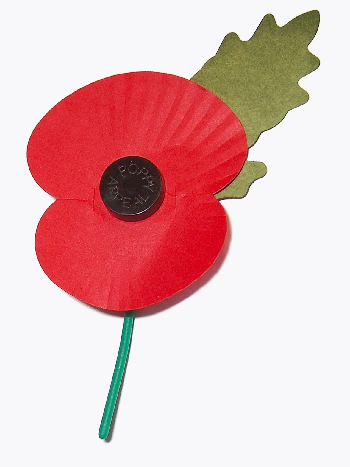 Poppy