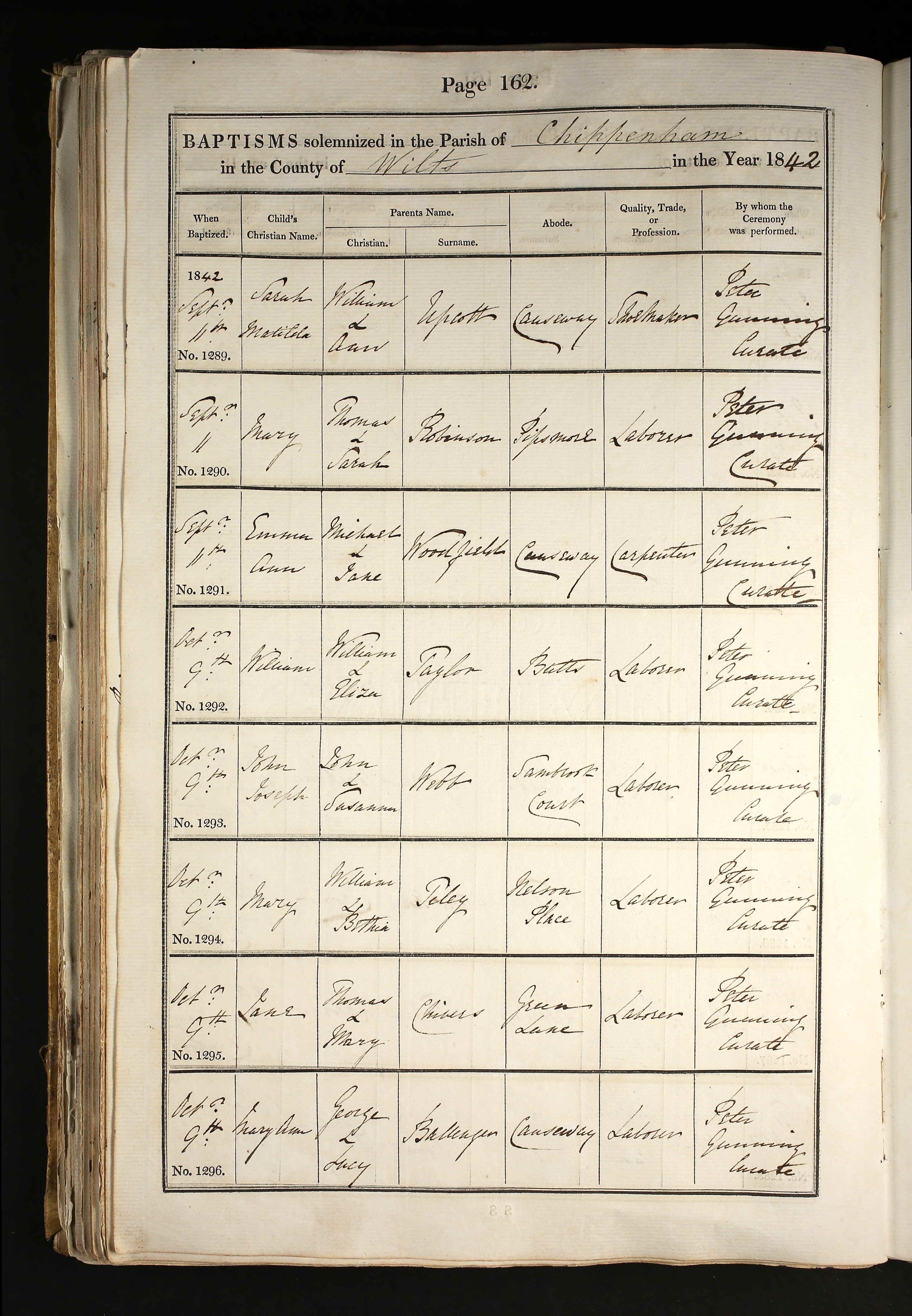 Wiltshire, England, Church of England Births and Baptisms, 1813-1916