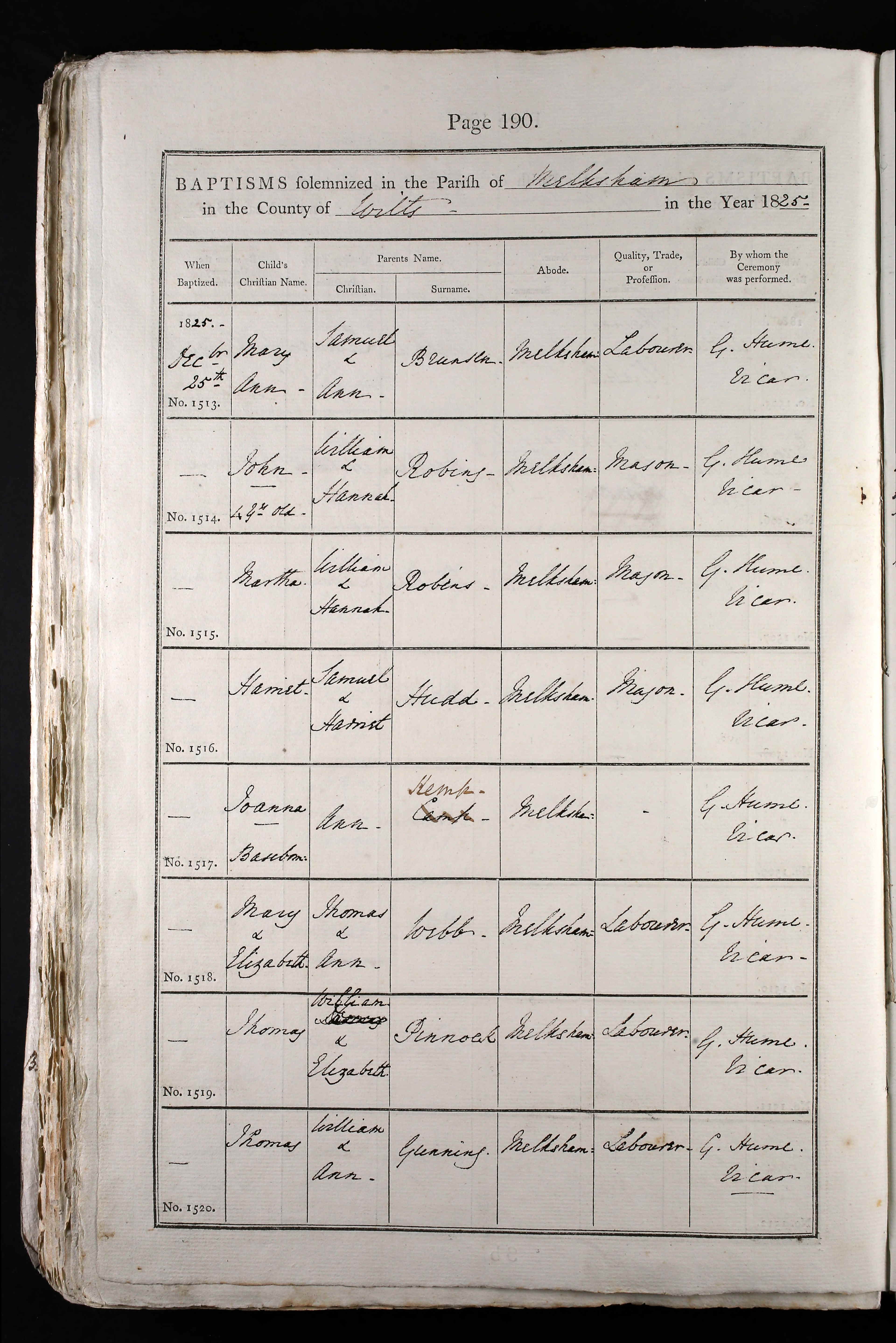 Wiltshire, England, Church of England Births and Baptisms, 1813-1916